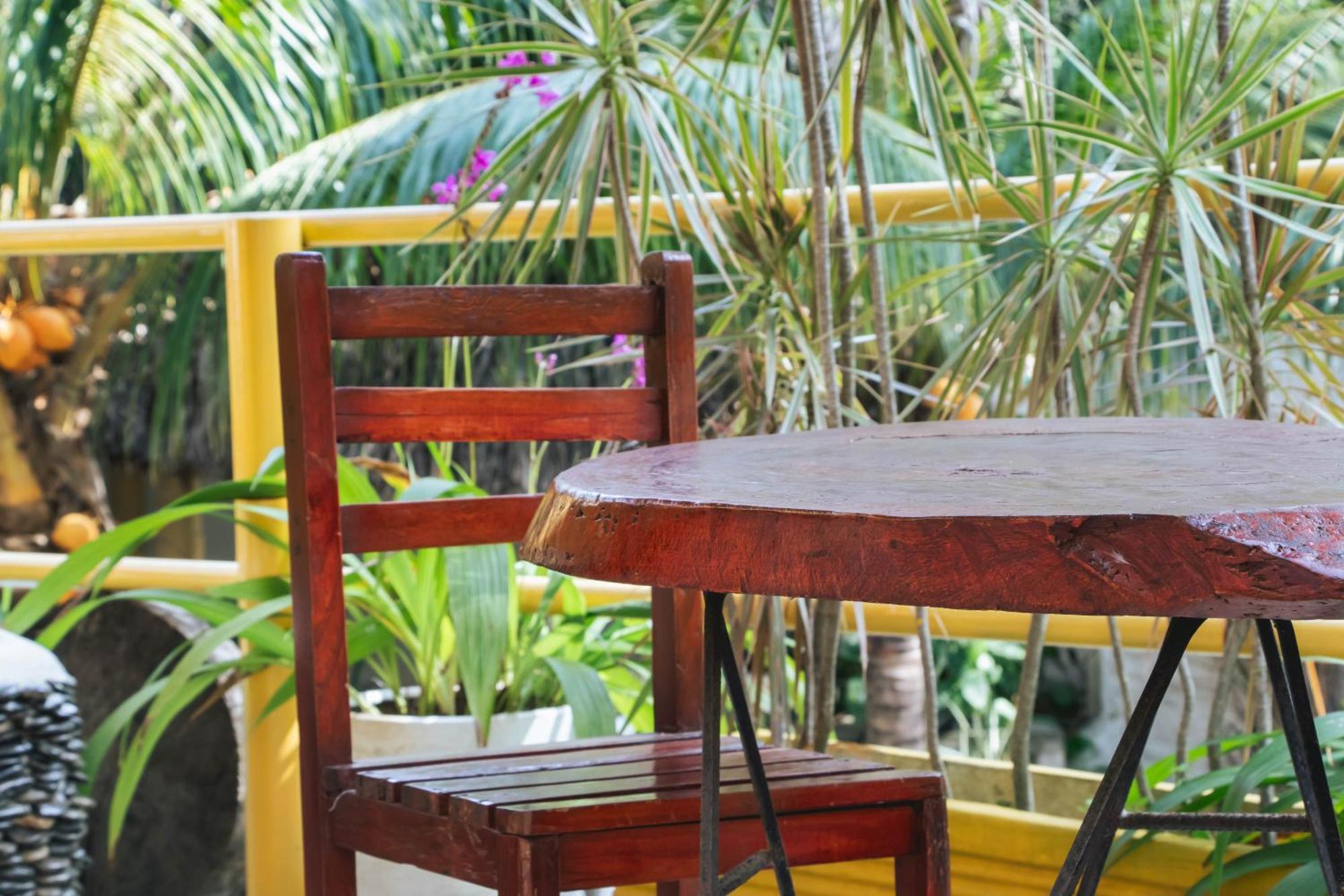 Hotel Manakin Tayrona El Zaino Exteriér fotografie