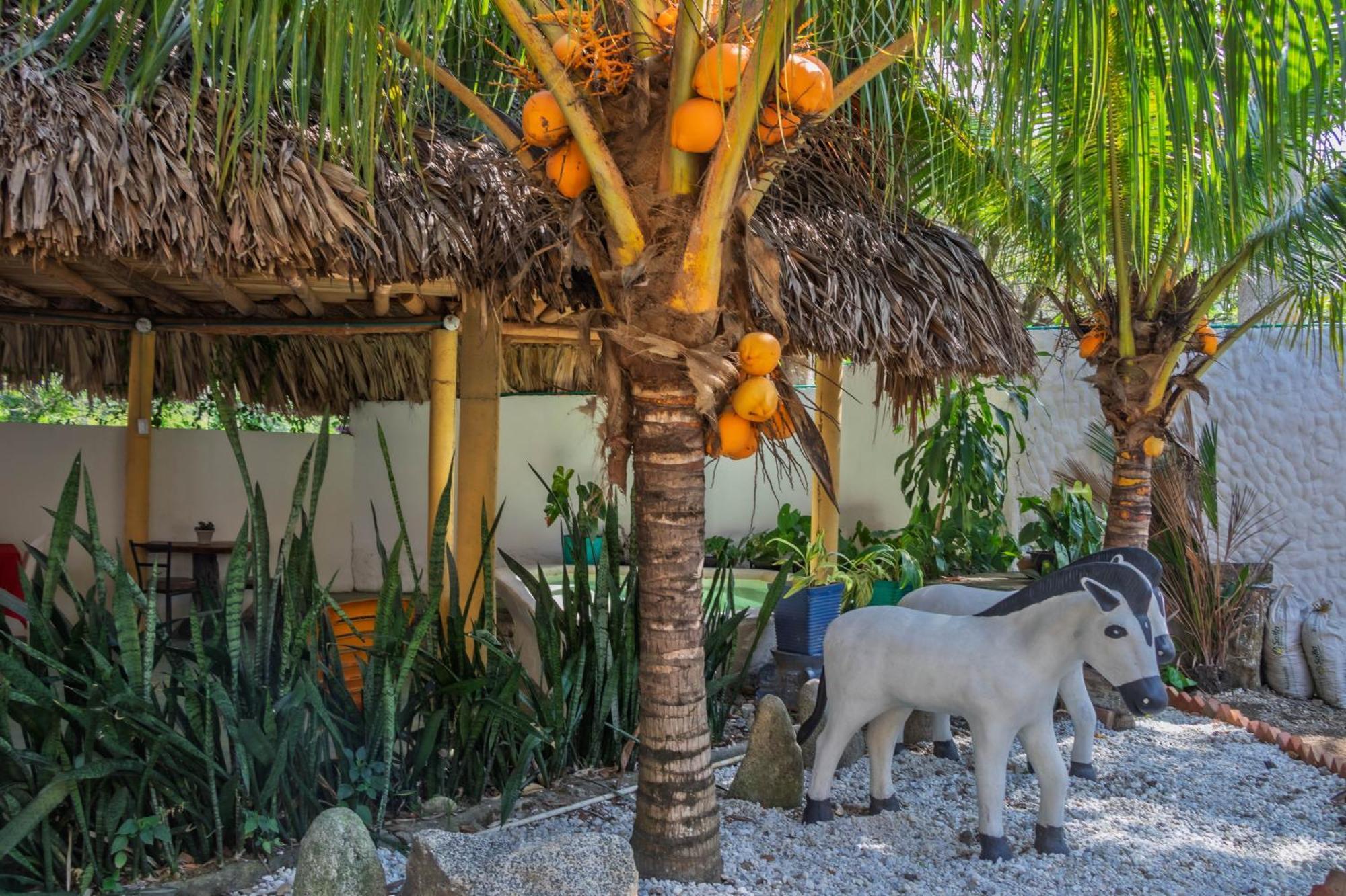 Hotel Manakin Tayrona El Zaino Exteriér fotografie